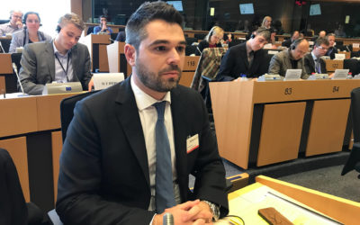 Γ. Σαρακιώτης: «Τραγελαφικές οι παλινωδίες της Κυβέρνησης στην εξωτερική πολιτική»